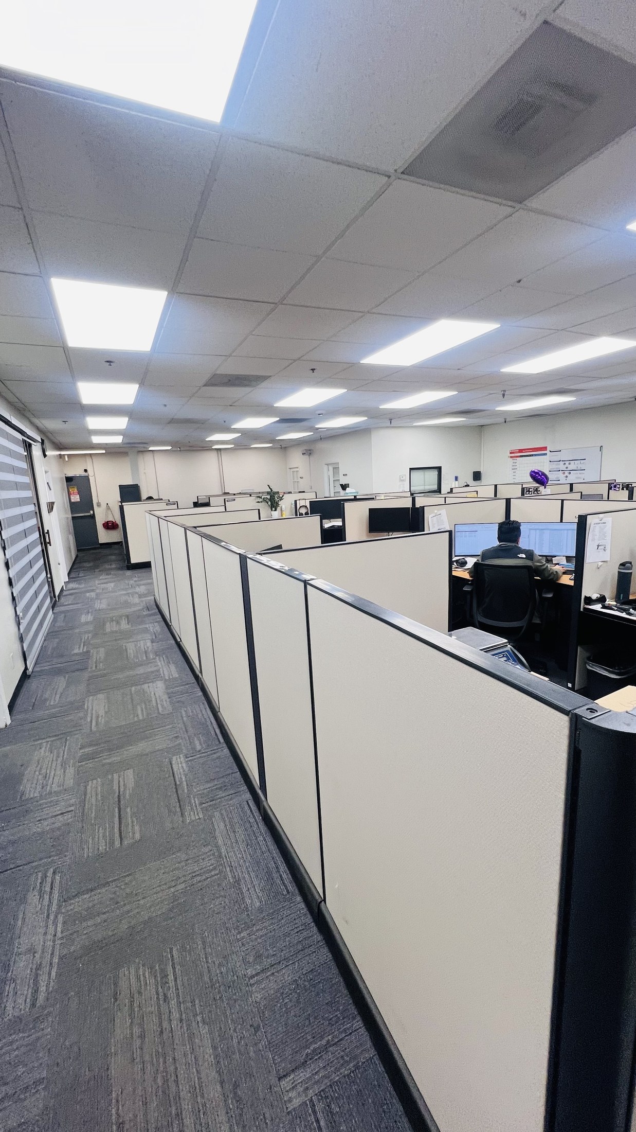 Commercial office space painted by Bravo's Painting